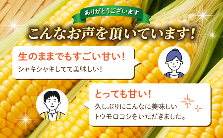 【先行受付2026年発送】生でもすごく甘い！生きた土壌で育った『とうもろこし』2Lサイズ8本｜里山JAPAN ※2026年7月中旬以降発送予定