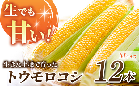【先行受付2026年発送】生でもすごく甘い！生きた土壌で育った『とうもろこし』Mサイズ12本｜里山JAPAN　※2026年7月中旬以降発送予定