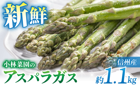 先行受付2026年発送【小林菜園】農家直送！アスパラガス1.1kg（L～３Lサイズ）｜※2026年4月上旬以降発送