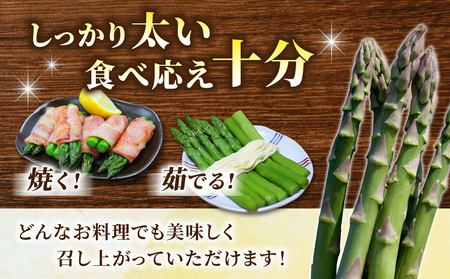 先行受付2026年発送【小林菜園】農家直送！アスパラガス1.1kg（L～３Lサイズ）｜※2026年4月上旬以降発送