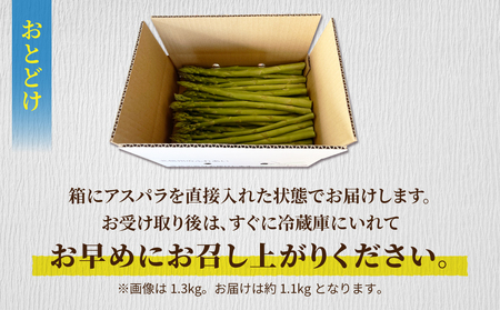 先行受付2026年発送【小林菜園】農家直送！アスパラガス1.1kg（L～３Lサイズ）｜※2026年4月上旬以降発送