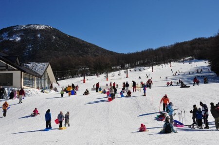 湯の丸スキー場 【早割】リフト1日券(全日)×2枚セット | 長野県 東御市 湯の丸高原 スキー チケット リフト券 回数券 引換券