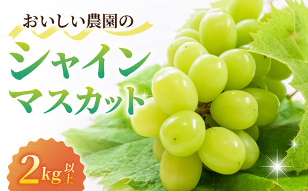 【先行受付2026年発送】農家直送！シャインマスカット2kg以上（4～5房）｜御牧原おいしい農園　※2026年10月上旬以降順次発送 6,300円