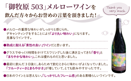 【おいしい農園】メルローワイン「御牧原503」1本