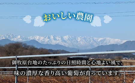 【おいしい農園】メルローワイン「御牧原503」1本