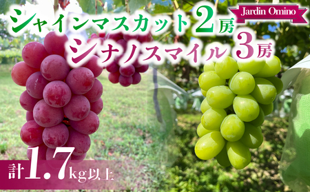 【先行受付2026年発送】シャインマスカット2房＆シナノスマイル 3房 　合計1.7kg以上｜Jardin Omino　※2026年9月初旬~10月中旬に発送予定