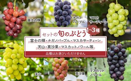 【先行受付2026年発送】クイーンルージュ（R)と旬のおすすめ2〜4種セット（合計3〜4房、約2kg）｜秀果園　※2026年9月中旬以降発送予定