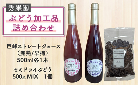 【先行受付2026年発送】旬のぶどう食べ尽くしセット4回頒布会（ナガノパープル、クイーンルージュ（R)、シャインマスカット）｜秀果園　