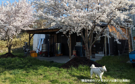 【アトリエデュヴァン】赤ワイン(ピノ・ノワール、メルロー)2019ヴィンテージセット、合計2本