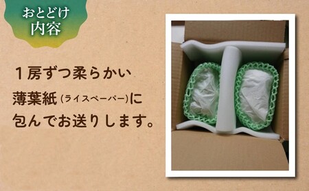 先行受付2026年発送【土屋農園】農家直送！シャインマスカット２房（約1.2kg）