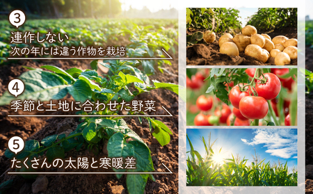 【先行受付2026年発送】長野県産新じゃがいも 生きた土壌で育った『白土馬鈴薯5kg』｜里山JAPAN※2026年8月上旬以降発送予定