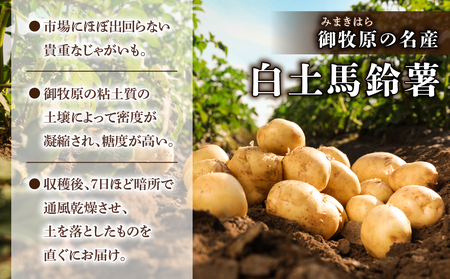 【先行受付2026年発送】長野県産新じゃがいも 生きた土壌で育った『白土馬鈴薯10kg』｜里山JAPAN※2026年8月上旬以降発送予定