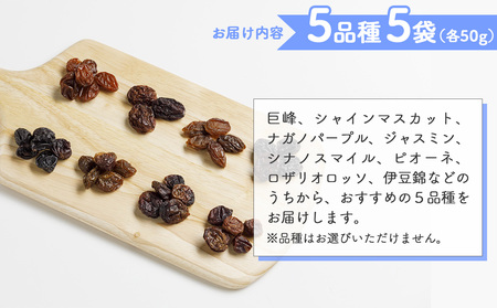 【秀果園】ぶどう農家のセミドライぶどう5品種5袋(各50g)|巨峰、シャインマスカット、ナガノパープルなど　レーズン 砂糖不使用 無添加