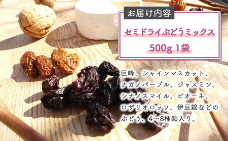 【秀果園】ぶどう農家のセミドライぶどうミックス500g ×1袋｜巨峰、シャインマスカット、ナガノパープルなど レーズン 無添加 砂糖不使用