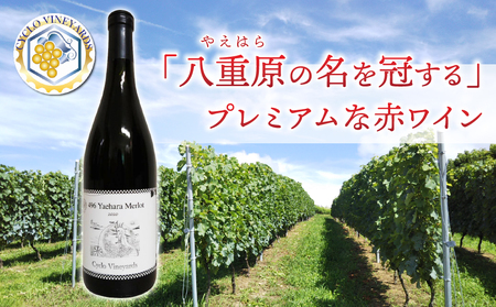 凍霜害 応援‼　「八重原の名を冠する」プレミアムな赤ワイン【496ワイナリー】|八重原メルロー１本 10,804円