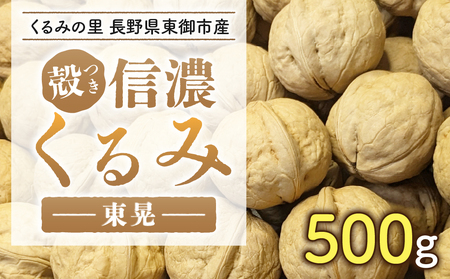 2025年産 長野県東御市産 殻付き信濃くるみ 500g（品種 東晃）　くるみくるみくるみくるみくるみくるみくるみ