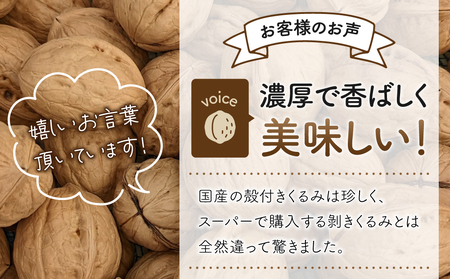 2025年産 長野県東御市産 殻付き信濃くるみ 500g（品種 東晃）　くるみくるみくるみくるみくるみくるみくるみ