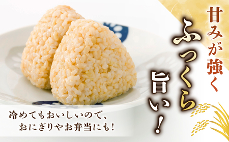 【先行受付2026年発送】長野県産！生きた土壌で育った御牧原米こしひかり 玄米（令和8年産）　10kg（5kg×2袋）｜里山JAPAN　※2026年10月上旬以降に発送予定