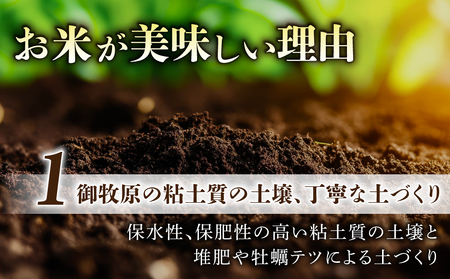 【先行受付2026年発送】長野県産！生きた土壌で育った御牧原米こしひかり 玄米（令和8年産）　10kg（5kg×2袋）｜里山JAPAN　※2026年10月上旬以降に発送予定