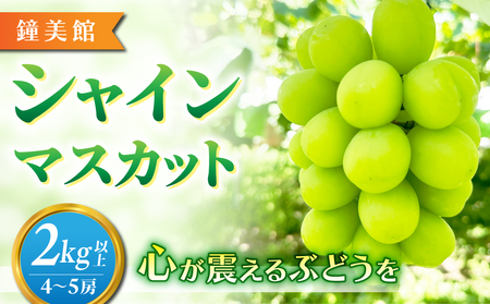 【先行受付2026年発送】標高750mで育ったシャインマスカット2キロ以上（4～5房）｜鐘美館 ※2026年10月上旬以降順次発送