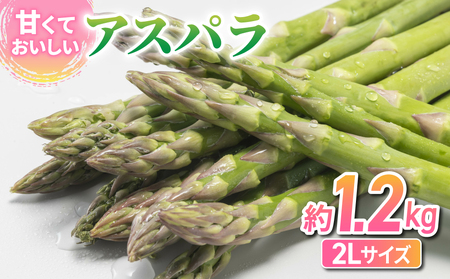 東御市産アスパラ約1.2kg 【4~5月お届け】