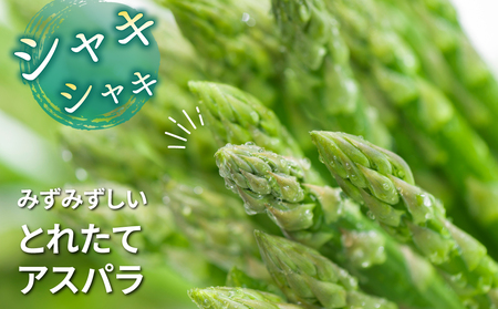 【先行受付2026年発送】東御市産アスパラガス約1.2kg（200g×6袋） ※2026年4月下旬～6月下旬頃に順次発送予定