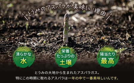 【先行受付2026年発送】東御市産アスパラガス約1.2kg（200g×6袋） ※2026年4月下旬～6月下旬頃に順次発送予定