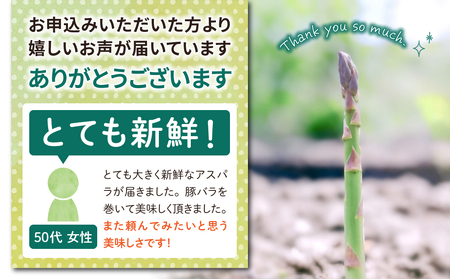 先行受付2026年発送】東御市産アスパラガス約1.2kg（200g×6袋） ※2026