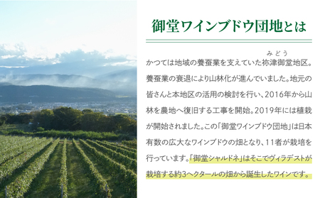 【ヴィラデストワイナリー】御堂（みどう）シャルドネ　2本 白ワイン