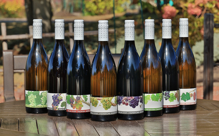 【ヴィラデストワイナリー】御堂（みどう）シャルドネ　2本 白ワイン