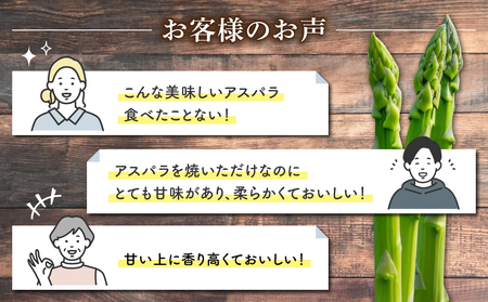 先行受付【里山JAPAN】甘くて柔らか 生きた土壌で育った『春のグリーンアスパラ』｜長野県 ※2026年春発送