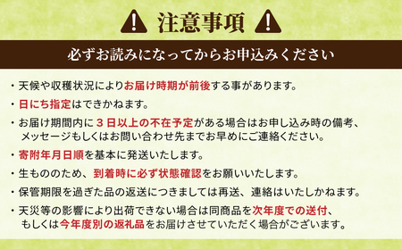 【先行受付2026年発送】東御市産白土馬鈴薯約10kg ※2026年8~12月お届け