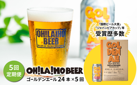 ゴールデンエール24本定期便（5回） クラフトビール　ビール定期便クラフトビールクラフトビールお酒定期便クラフトビールクラフトビールクラフトビールクラフトビール