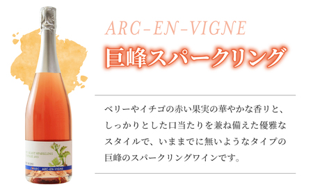 【アルカンヴィーニュ】ワイン・シードル 3種セット(巨峰 スパークリング・シードル・巨峰ロゼ) 