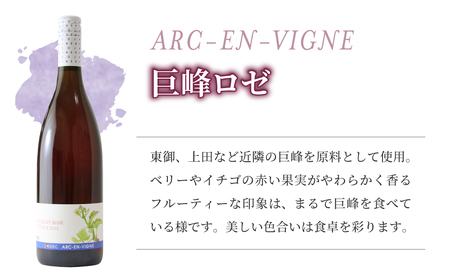 【アルカンヴィーニュ】ワイン・シードル 3種セット(巨峰 スパークリング・シードル・巨峰ロゼ) 