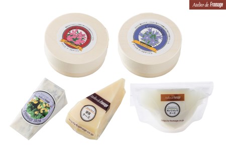 5種のチーズセット | 食べ比べ モッツァレラ カマンベール ブルーチーズ 詰め合わせ 長野県