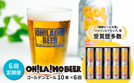 ゴールデンエール10本定期便（6回） クラフトビール　ビール定期便クラフトビールクラフトビールお酒定期便クラフトビールクラフトビールクラフトビールクラフトビール