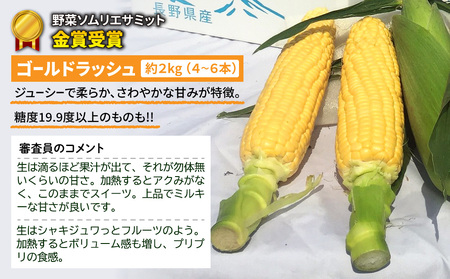 【先行受付2025年発送】野菜ソムリエサミット金賞受賞！東御市産とうもろこし（ピュアホワイト・ゴールドラッシュ）約4kg｜スイートコーンとうもろこしとうもろこしとうもろこしとうもろこしとうもろこし