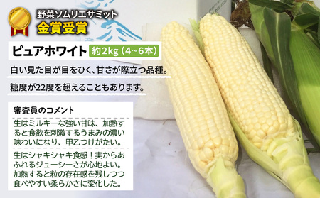 【先行受付2025年発送】野菜ソムリエサミット金賞受賞！東御市産とうもろこし（ピュアホワイト・ゴールドラッシュ）約4kg｜スイートコーンとうもろこしとうもろこしとうもろこしとうもろこしとうもろこし