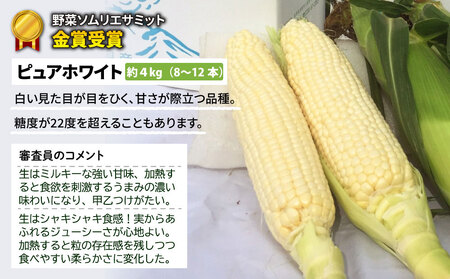 【先行受付2025年発送】野菜ソムリエサミット金賞受賞！東御市産とうもろこし（ピュアホワイト）約4kg | スイートコーンとうもろこしとうもろこしとうもろこしとうもろこしとうもろこしとうもろこし