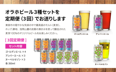 【3回定期便】オラホビール10本（3種合計10本）