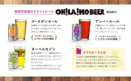 【12回定期便】オラホビール10本（3種合計10本）