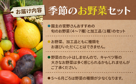 【アグロノーム】季節のお野菜セット（２～３人様向け）※2024年7月以降発送開始