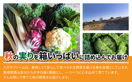 【sugaya farm】秋の実りBOX（３~４人様向け）