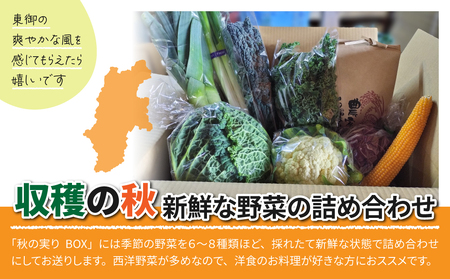 【sugaya farm】秋の実りBOX（３~４人様向け）