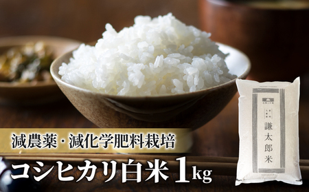 【太陽と大地】八重原産特別栽培米（減農薬・減化学肥料栽培）コシヒカリ白米1kg