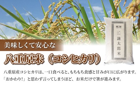 【太陽と大地】八重原産特別栽培米（減農薬・減化学肥料栽培）コシヒカリ白米1kg