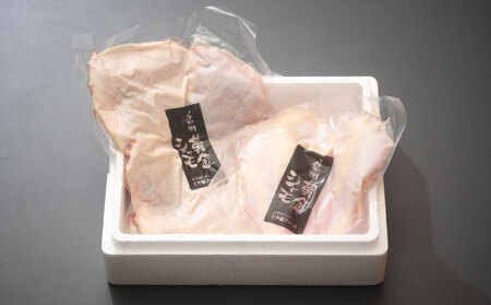 【3回定期便 】朝びき！信州黄金シャモモモ・ムネ肉セット　地鶏