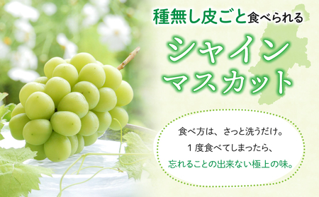 【先行受付2026年発送】東御市産クイーンルージュ(R)＆シャインマスカットのセット ※9月中旬～10月中旬頃発送