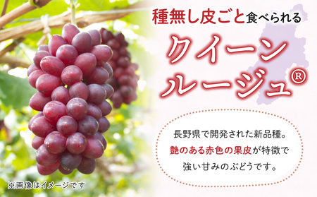 【先行受付2026年発送】東御市産クイーンルージュ(R)＆シャインマスカットのセット ※9月中旬～10月中旬頃発送